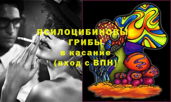 гидра Михайлов