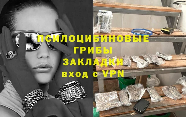 гидра Михайлов
