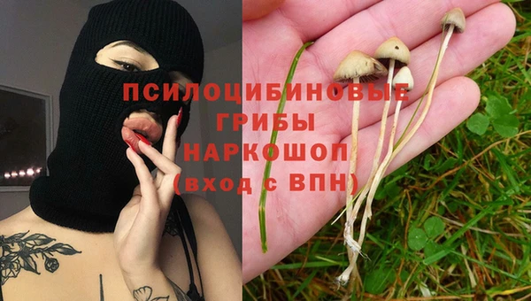 гидропоника Медвежьегорск